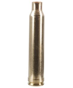 300 win mag brass